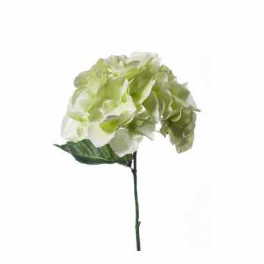 Hobby kunst hortensia tak wit/groen