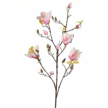 Hobby kunst magnolia tak roze