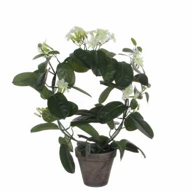 Hobby stephanotis bruidsbloem kunstplant/kamerplant wit grijze sierpot h d
