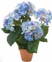 Hobby blauwe hortensia hydrangea macrophylla kunstplant terracotta pot