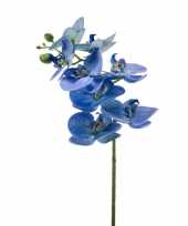 Hobby blauwe phaleanopsis vlinderorchidee kunstbloem