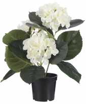 Hobby creme witte hydrangea hortensia kunstplant pot