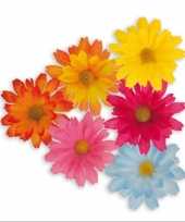 Hobby decoratie madeliefjes
