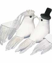 Hobby duiven bruidspaar