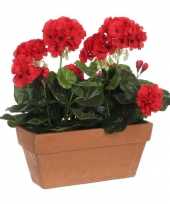 Hobby geranium balkon kunstplant rood keramieken pot l b h