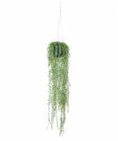 Hobby groene senecio erwtenplant kunstplant hangende pot