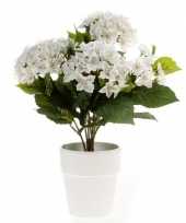 Hobby kunstplant hortensia wit witte pot