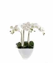 Hobby kunstplant orchidee wit pot 10116195