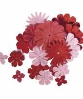 Hobby papieren knutsel bloemen rood roze
