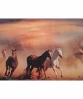 Hobby placemat paarden d type 10091531