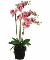 Hobby roze orchidee kunstplanten planten pot