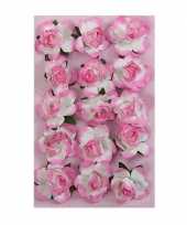 Hobby roze papieren bloemetjes