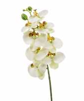 Hobby witte phaleanopsis vlinderorchidee kunstbloem