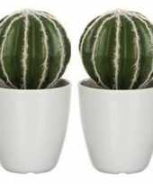 Hobby x groene echinocactus bolcactus kunstplanten witte pot