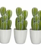 Hobby x groene euphorbia cowboycactus kunstplanten witte pot 10159789