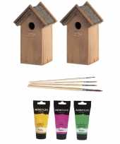 Hobby x houten vogelhuisje nestkastje roze geel groen dhz schilderen pakket