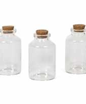 Hobby x kleine transparante glazen flesjes kurken dop ml 10276379