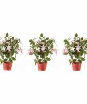 Hobby x lichtroze fuchsiaplant kunstplant binnen