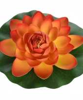 Hobby x oranje drijvende kunst waterlelie bloemen 10233935