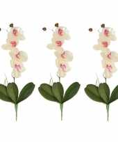 Hobby x wit roze orchidee phalaenopsis kunstplanten binnen 10161928