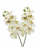 Hobby x witte phaleanopsis vlinderorchidee kunstbloemen 10139500
